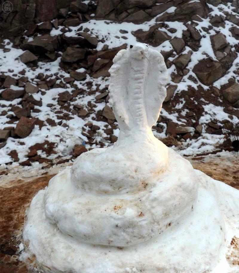 قصة مصورة: تساقط الثلوج على تبوك