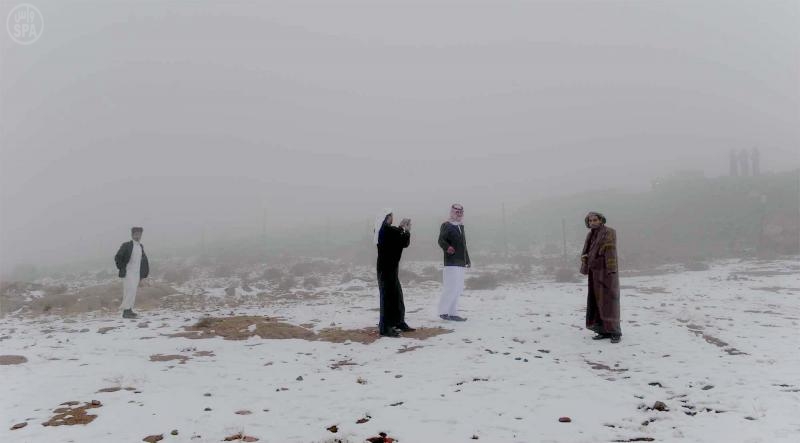 قصة مصورة: تساقط الثلوج على تبوك