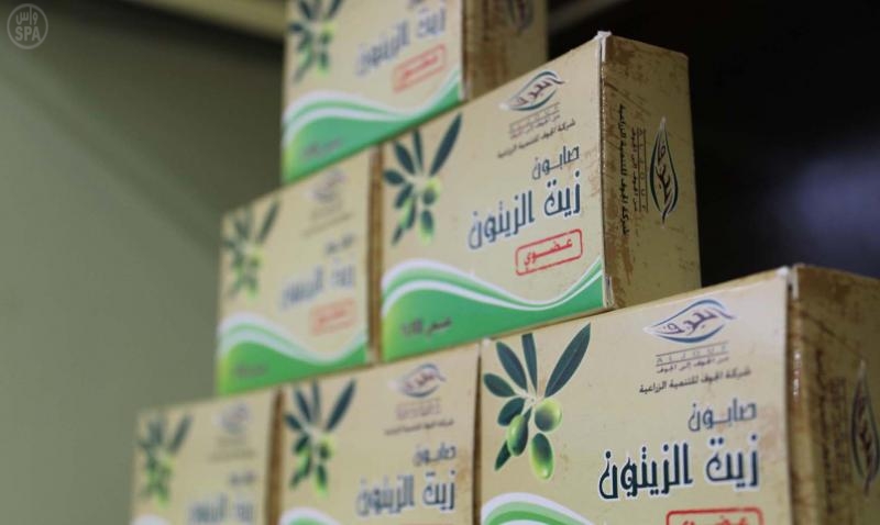 المملكة تنشئ مجمعًا لإنتاج أكثر من 30 صنفًا عالميًا من الزيتون عالي الجودة في الجوف