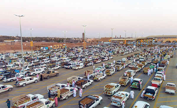 الباكستانيون يسيطرون على خدمة النخيل .. والسعوديون دلالون