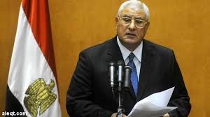 عدلي منصور: مصر ستنتخب رئيسا بحلول يونيو