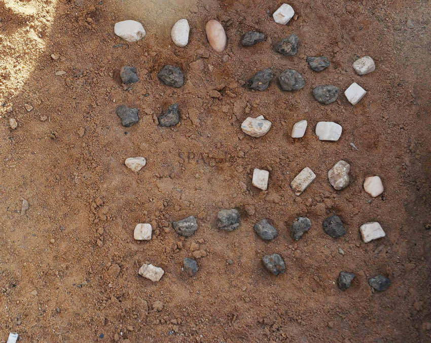 «شطرنج المسنين» .. تصارع من أجل البقاء