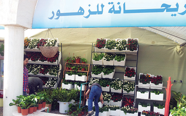 «الزهور» في المدينة المنورة .. أروع الأفكار
من أبسط الأشياء