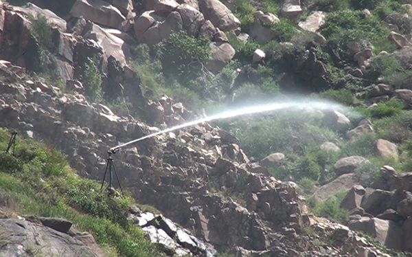 تشجير مليون متر مربع من جبل الهدا على 3 مراحل