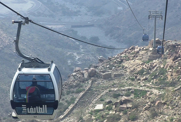 تشجير مليون متر مربع من جبل الهدا على 3 مراحل