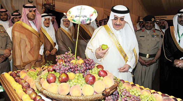 انطلاق فعاليات مهرجان الورود
والفاكهة في تبوك