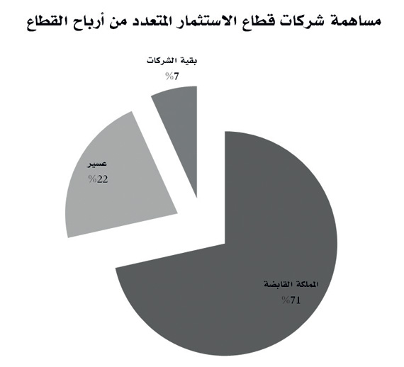 قطاع الاستثمار المتعدد يحقق أعلى أرباح ربعية منذ 6 سنوات