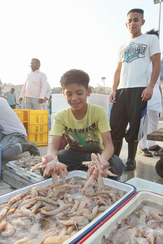 5600 مركب صيد تنطلق لصيد الروبيان
من سواحل الشرقية