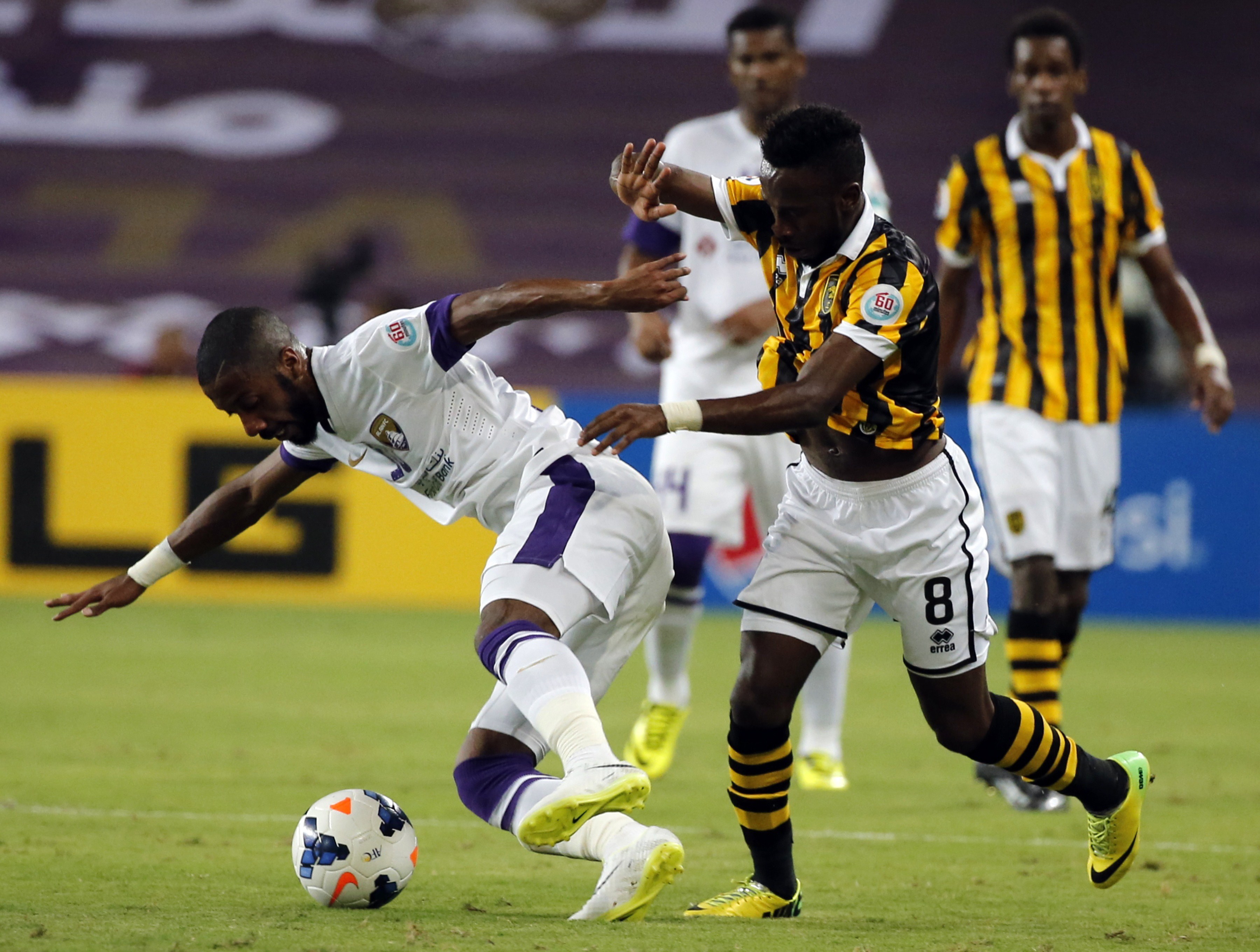 العين تصيب النمور