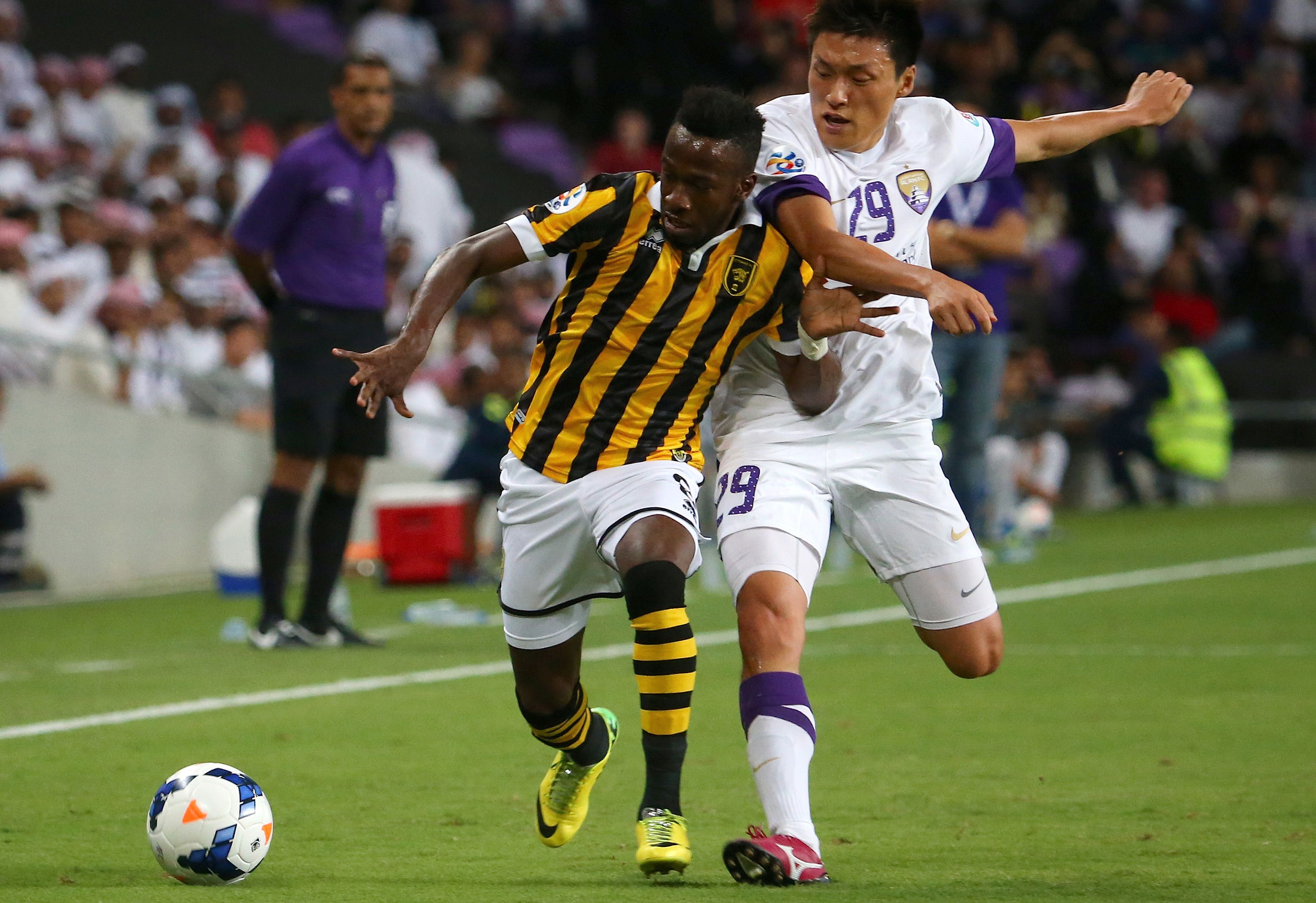 العين تصيب النمور