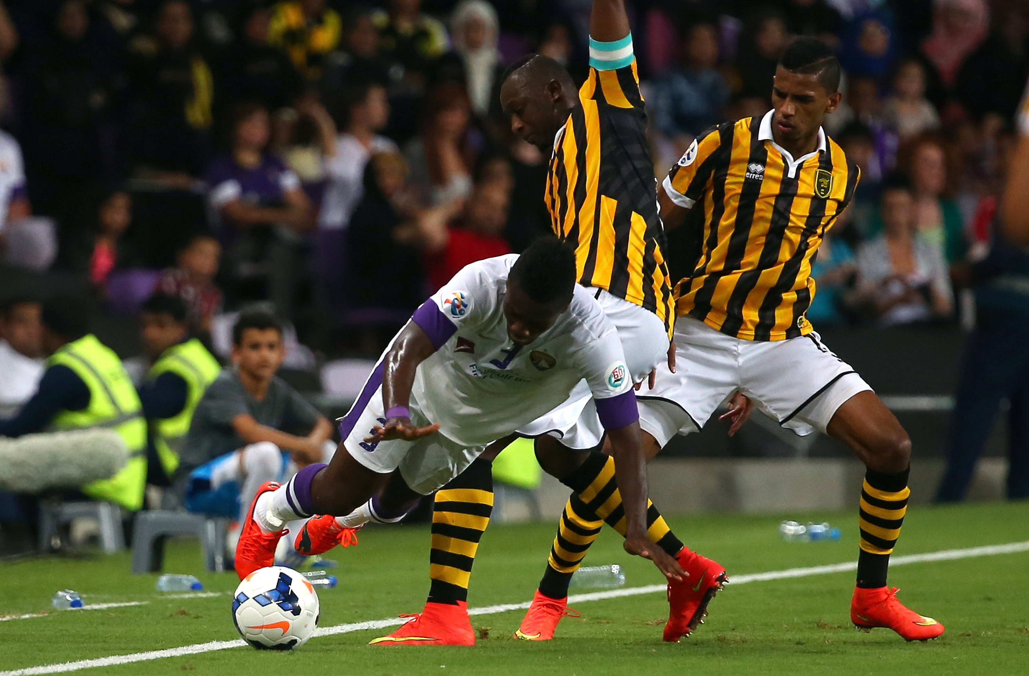 العين تصيب النمور