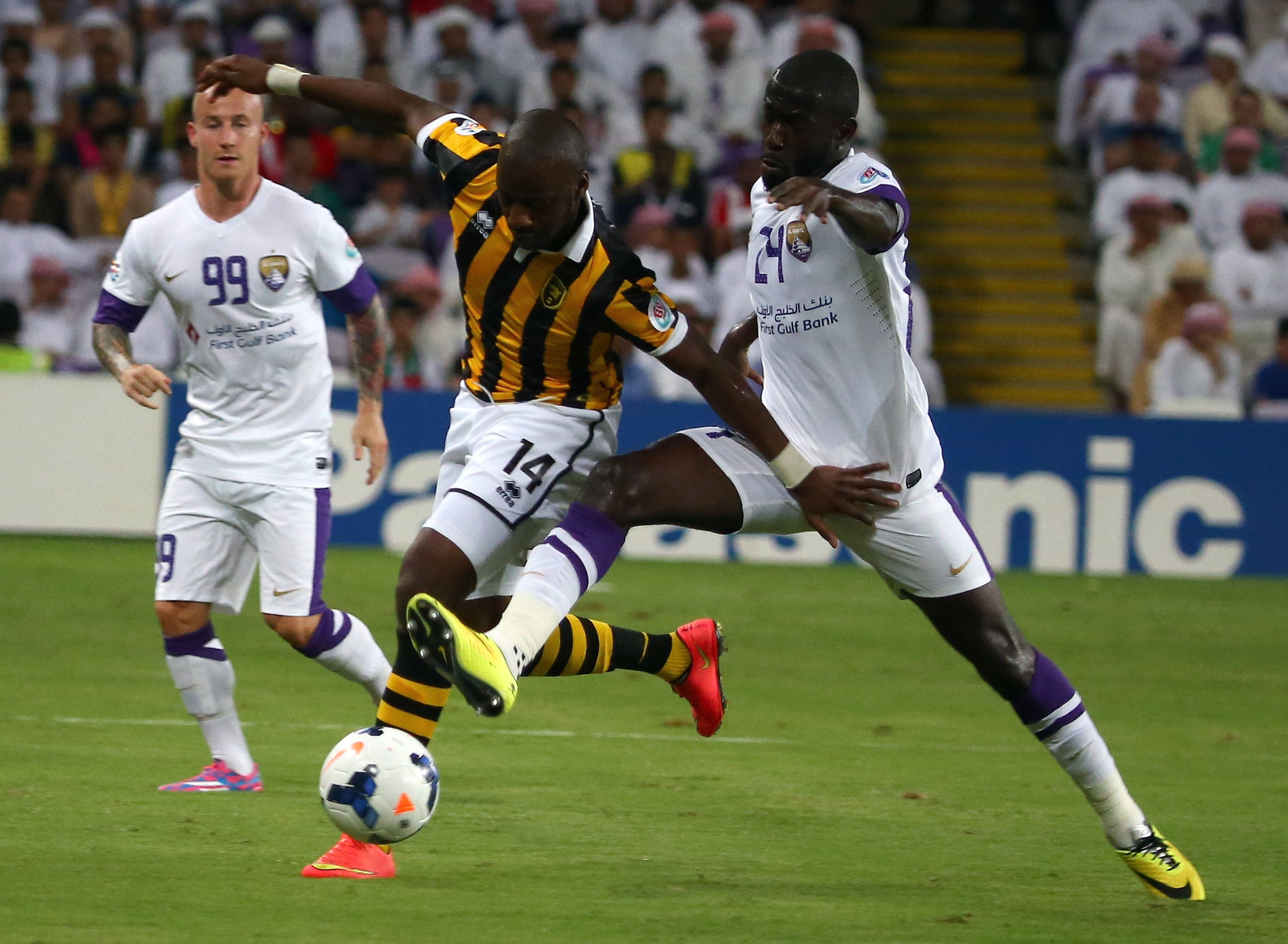 العين تصيب النمور