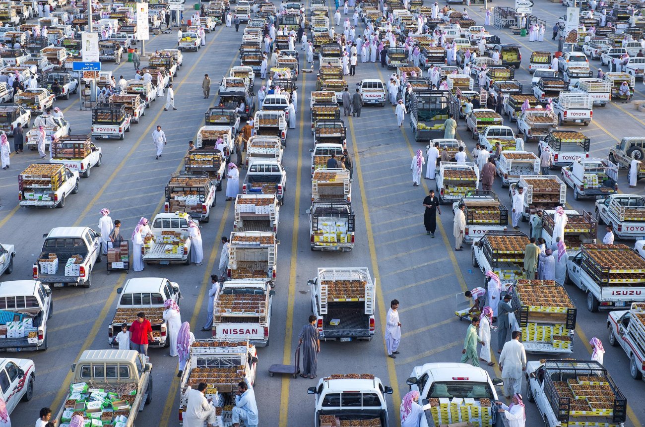 قصة مصورة: القصيم سلة التمور الفاخرة في المملكة
