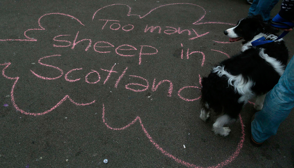 الأسكتلنديون رفضوا الاستقلال والمملكة المتحدة تعد بسلطات أوسع لمناطقها