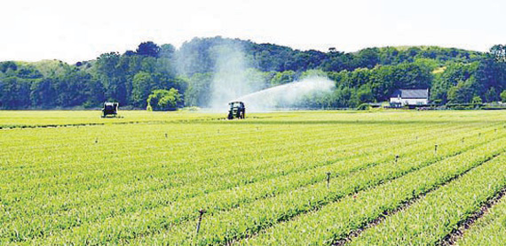 السعودية تستهدف روسيا في استثماراتها الزراعية بالخارج