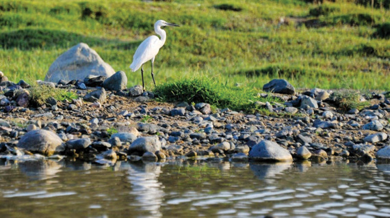 جبال السراة .. ملجأ الباحثين عن الدفء
في فصل الشتاء