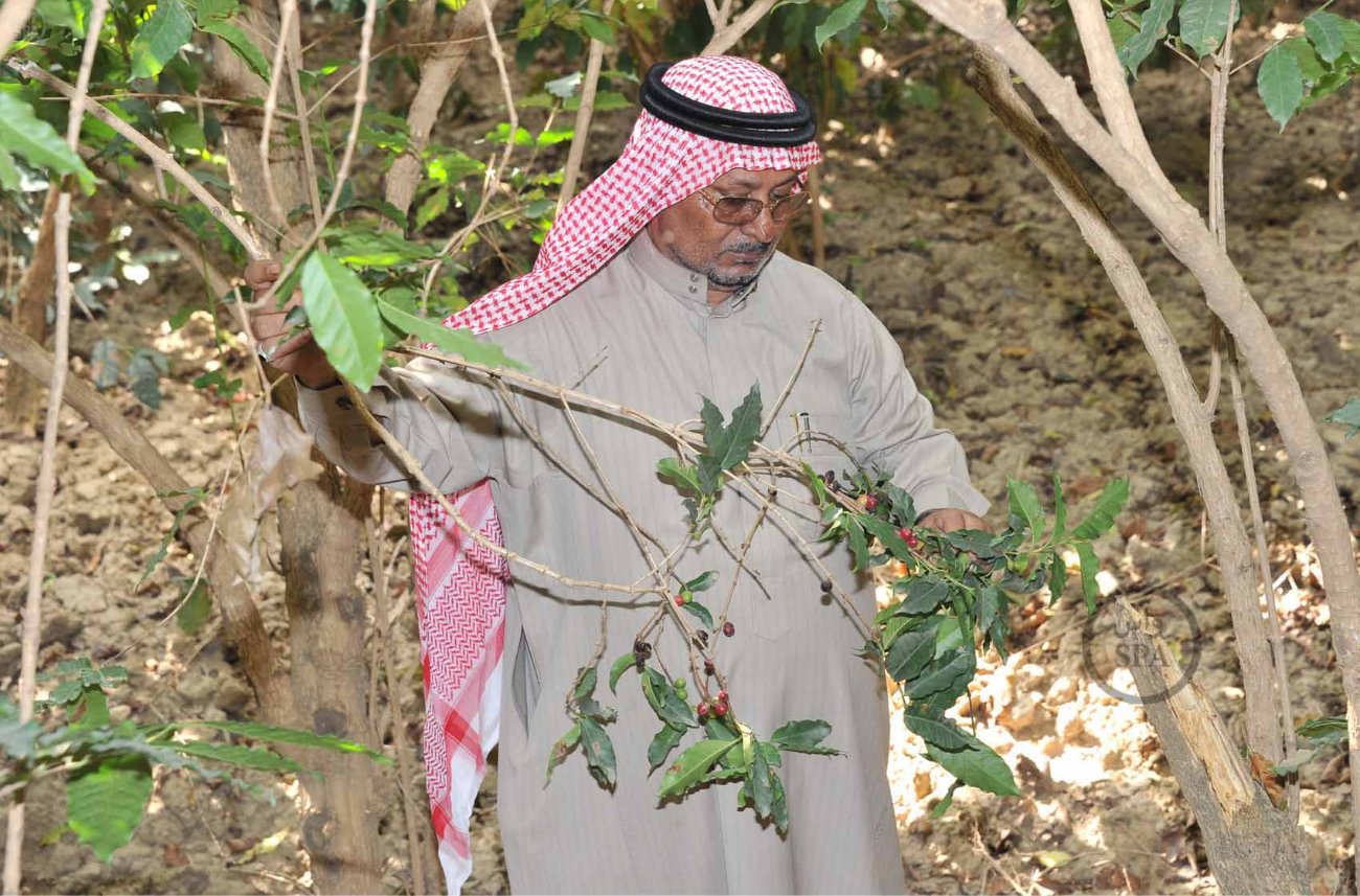 قصة مصورة: الطبيعة الجبلية في الداير بني مالك تبتهج بمهرجان البُن الثاني في جازان