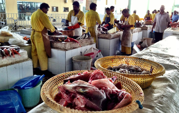 بلدية الخبر تتلف 1145 كيلو جرام من الأسماك