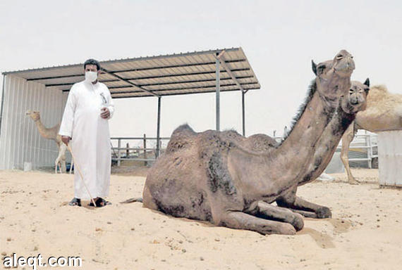 السعودية : 11 حالة إصابة بفيروس "كورونا" منذ مطلع فبراير