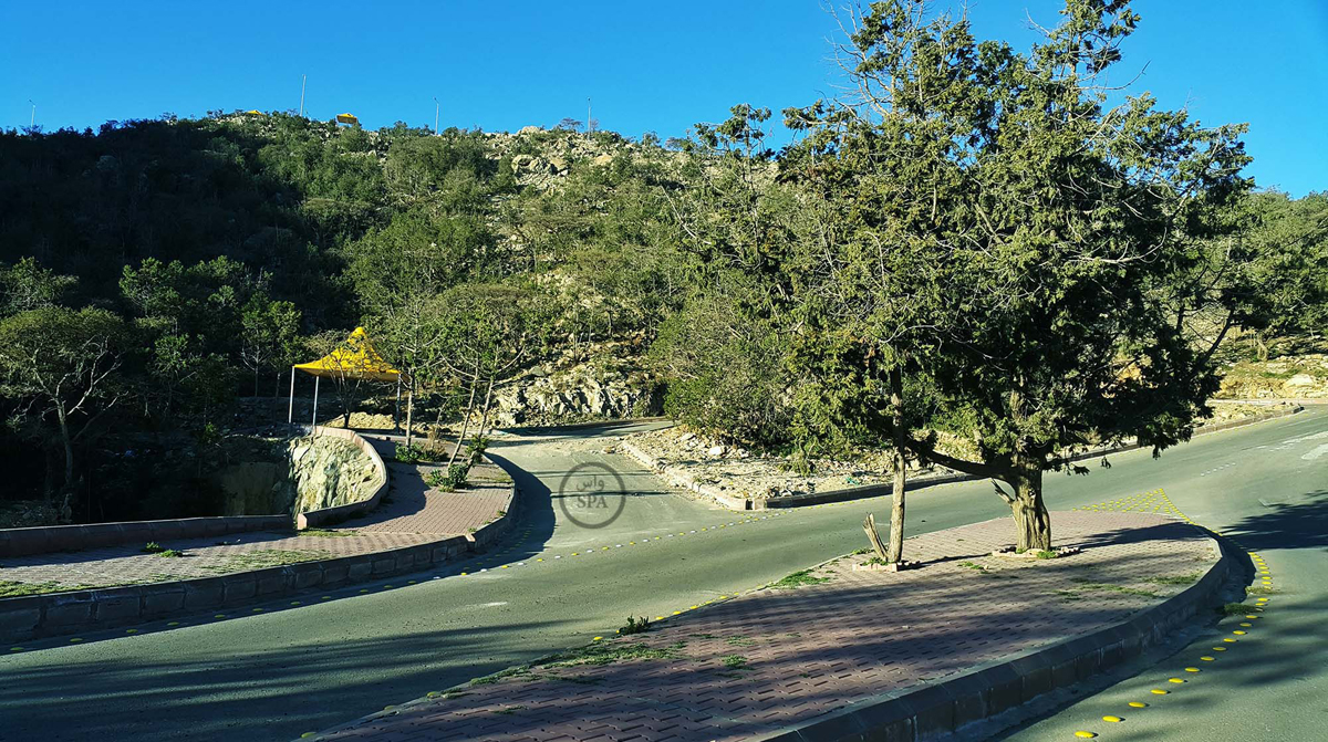 قصة مصورة : متنزه سلطان بن سلمان في النماص .. إطلالة ساحرة