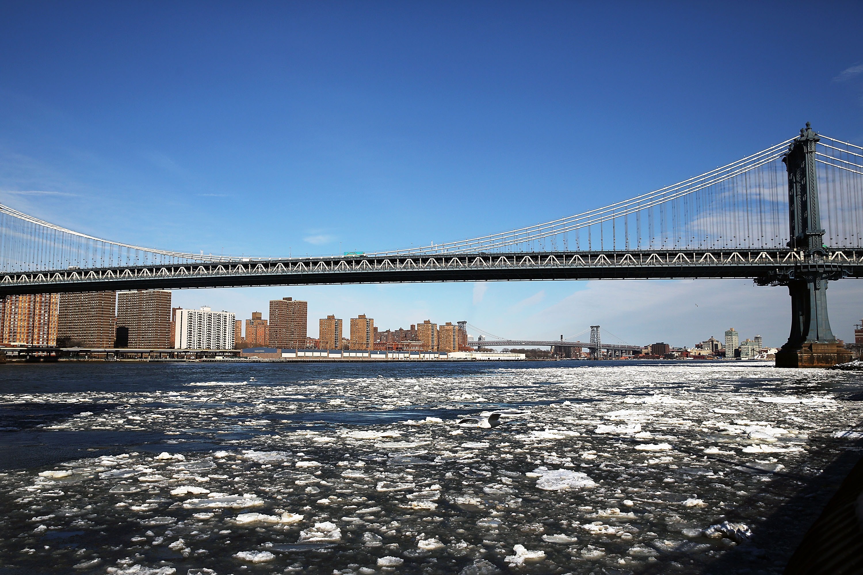 قصة مصورة: عاصفة ثلجية تضرب الولايات الأمريكية الوسطى والجنوبية
