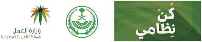 حملة «كن نظامي» .. دمج العقوبة الصارمة بالنصح والإرشاد للمخالفين