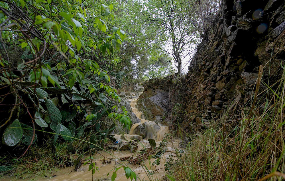 هطول أمطار متفرقة على منطقة الباحة