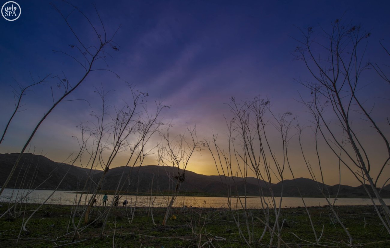 "وادي الجنابين" في بلجرشي مقصد الزوار والمتنزهين