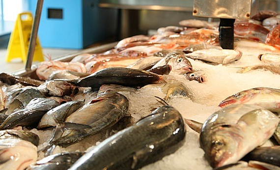 السعودية تحظر استيراد الأسماك الحية من جنوب أفريقيا