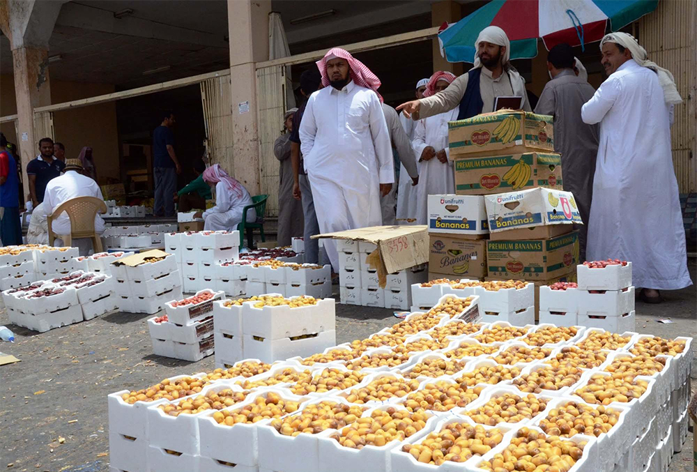 حرارة الطقس تعجل جني التمور في المدينة المنورة