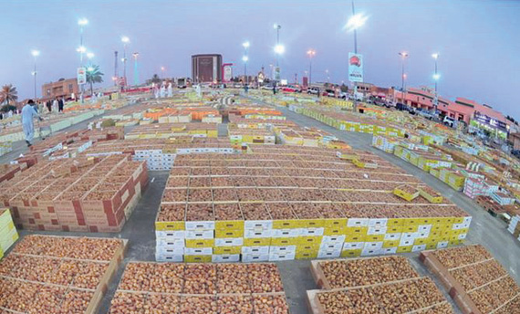 مهرجان تمور عنيزة ينطلق منتصف شوال
المقبل بثوب جديد