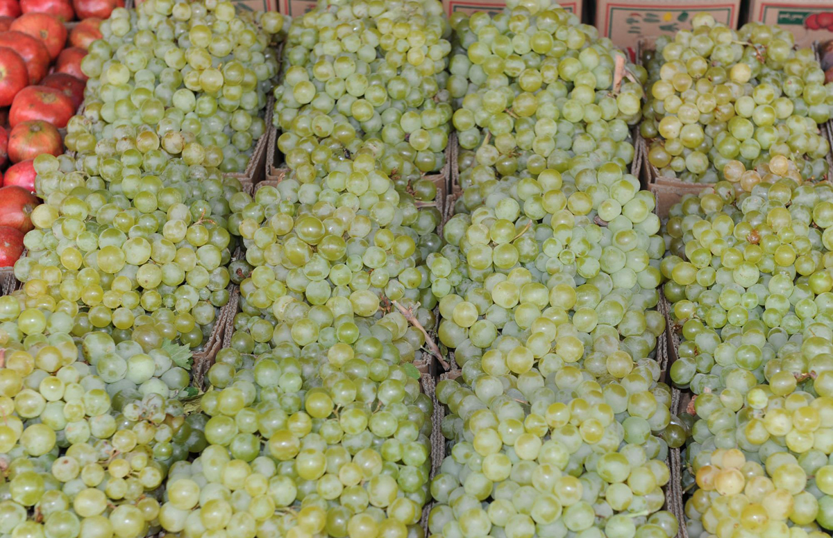 فواكه الطائف .. تزين السفرة الرمضانية