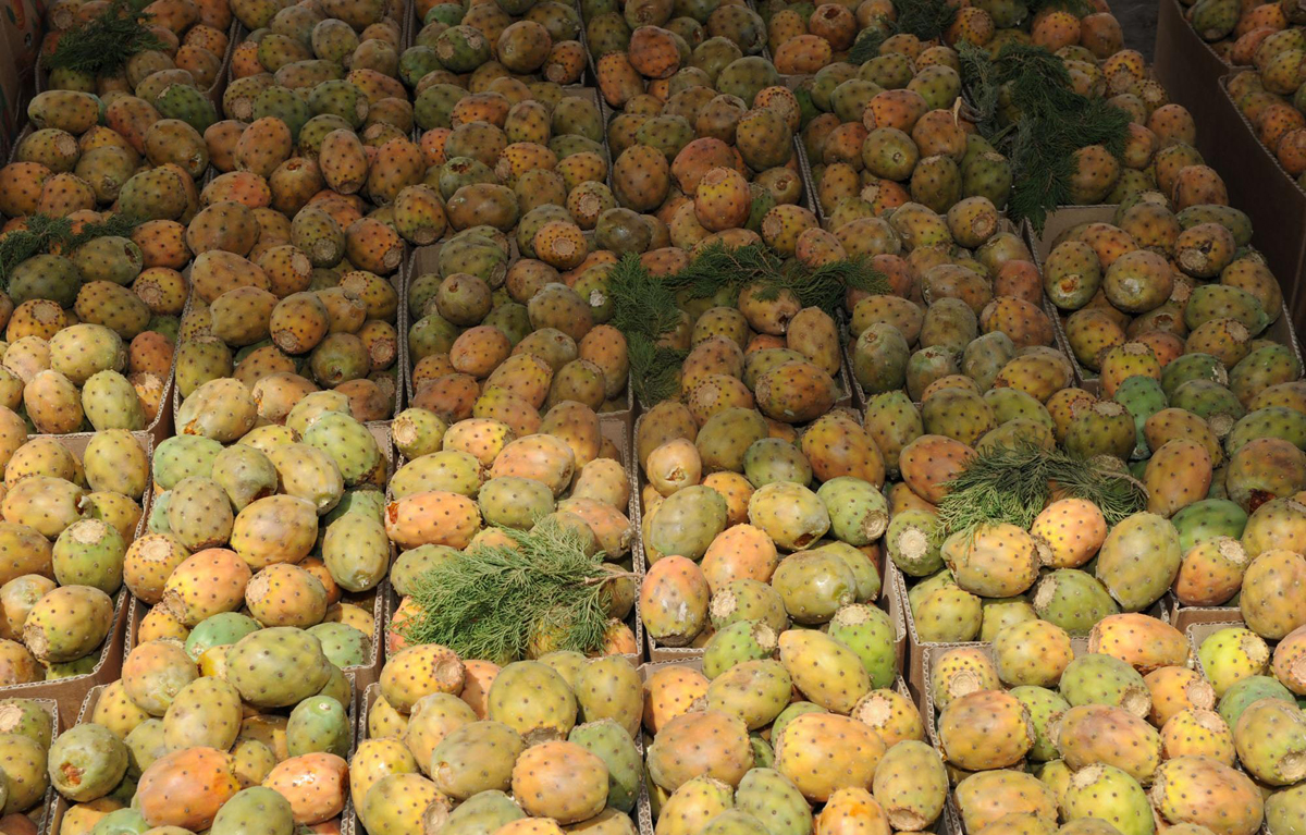 فواكه الطائف .. تزين السفرة الرمضانية