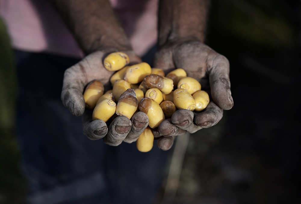 قصة رمضانية مصورة (19)