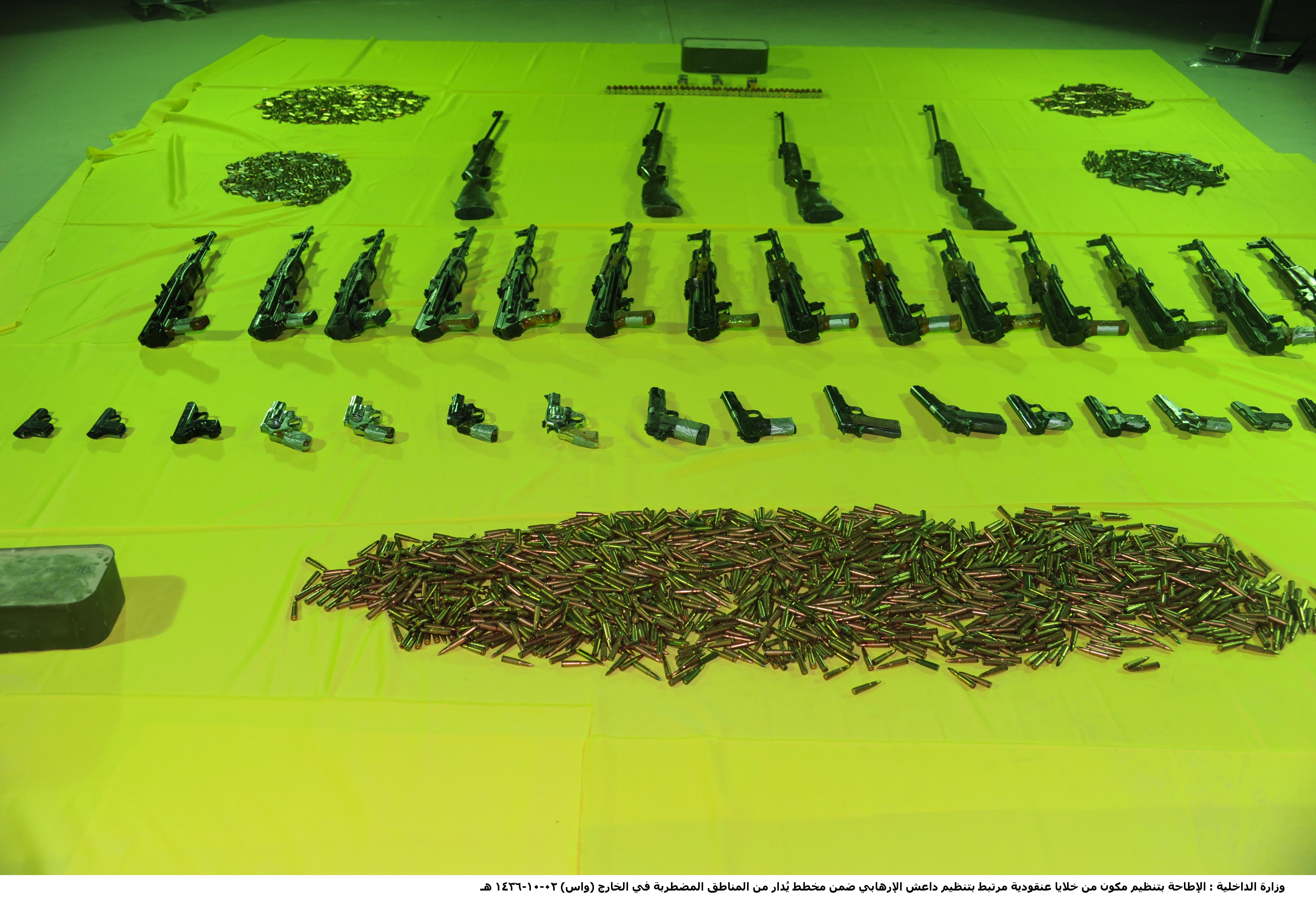 431 من خلايا "داعش" في قبضة الداخلية