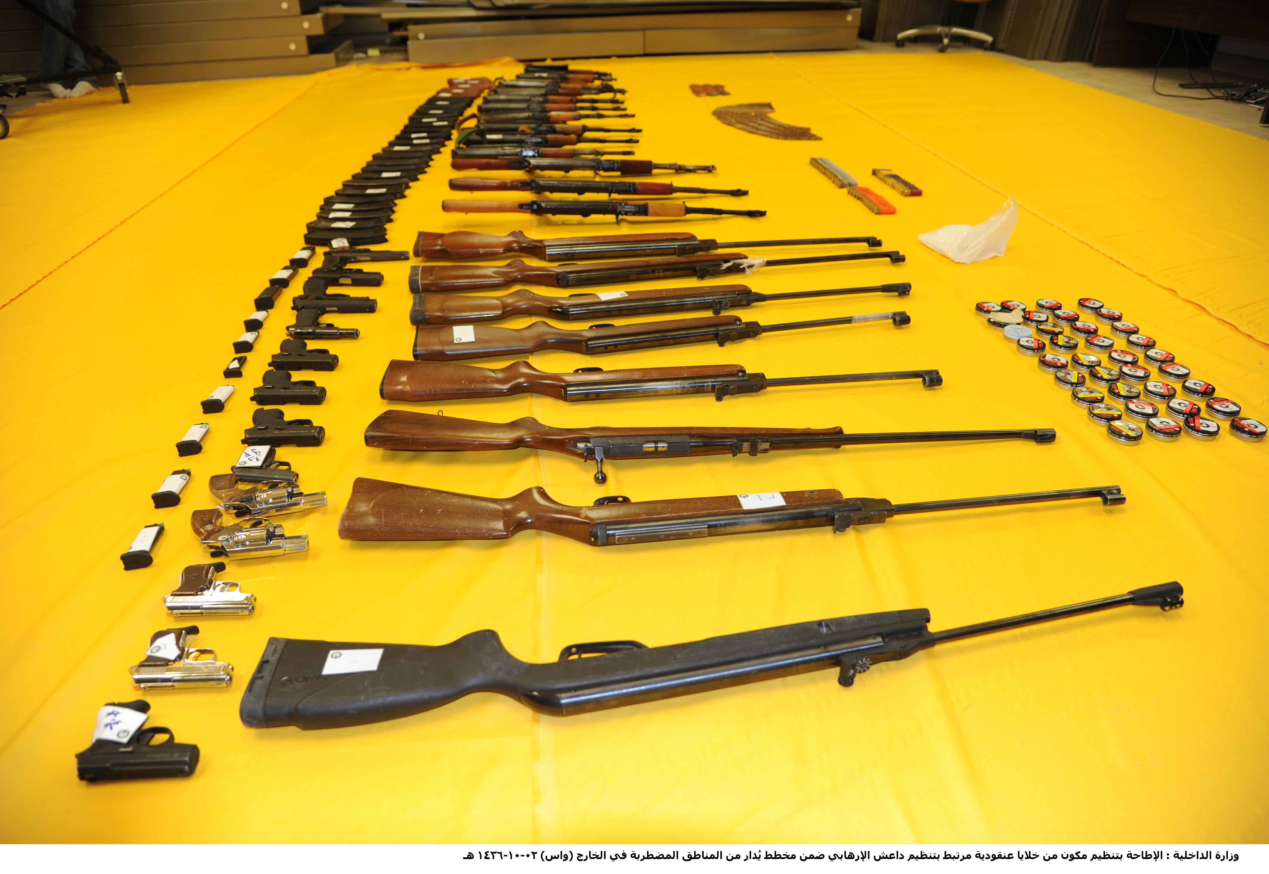 431 من خلايا "داعش" في قبضة الداخلية