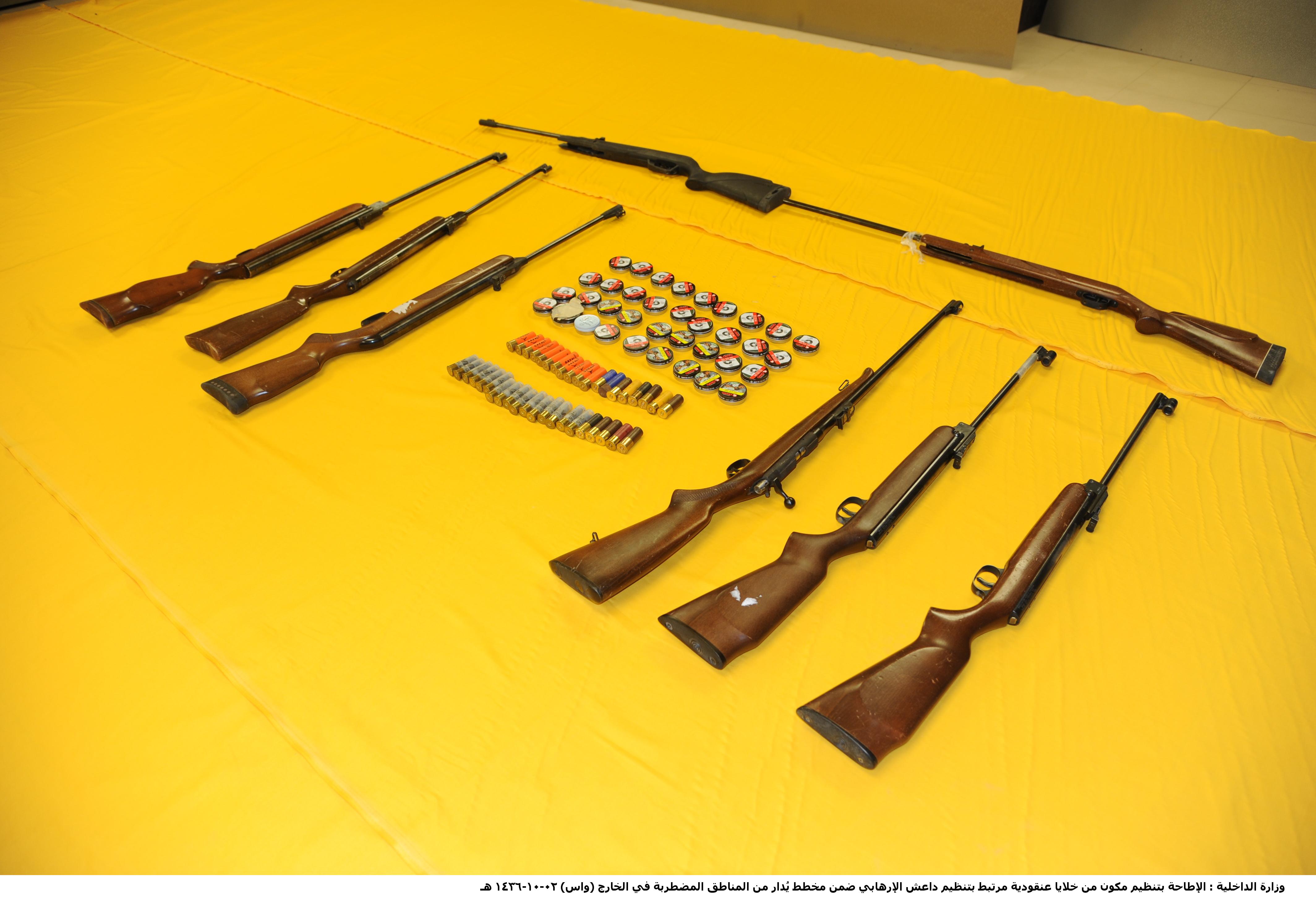 431 من خلايا "داعش" في قبضة الداخلية