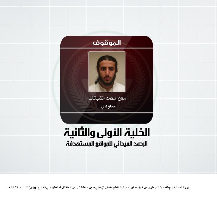 431 من خلايا "داعش" في قبضة الداخلية