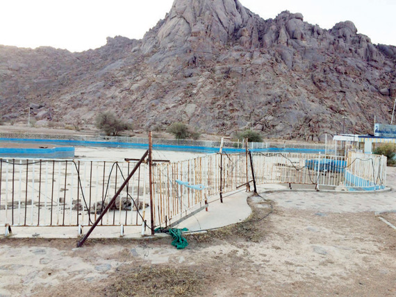 «مشار» .. من قرية سياحية إلى مرتع للحيوانات الضالة