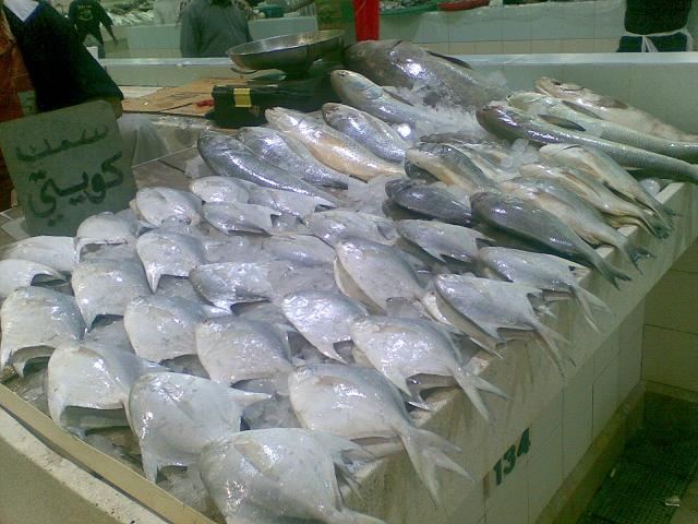 مقاطعة شعبية للأسماك في الكويت تجبر التجار على تخفيض الأسعار