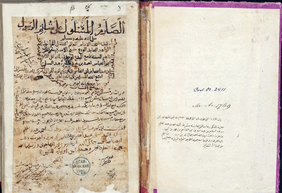 أقدم «منمنمة» في العالم عن تاريخ المدينة المنورة