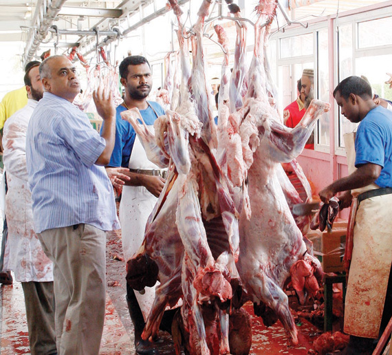 7 مسالخ تتأهب لنحر 50 ألف أضحية في اليوم الأول من «الأضحى» في الرياض