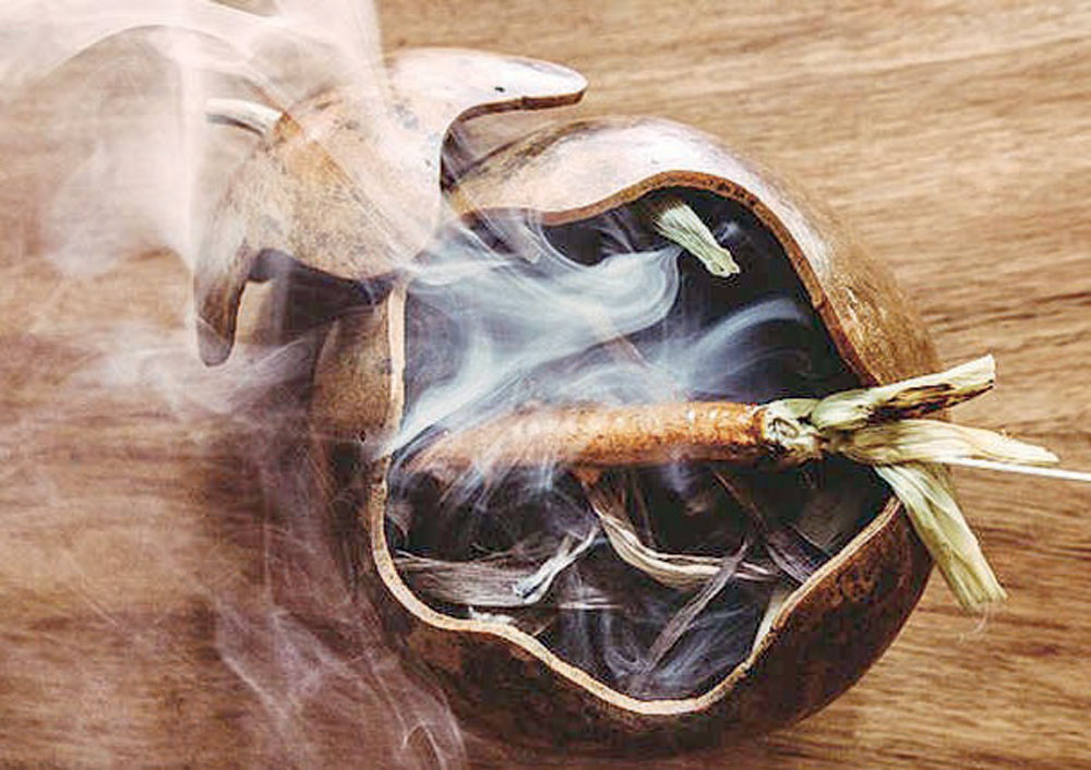 أطباق طعام غريبة في مطاعم أمريكا اللاتينية