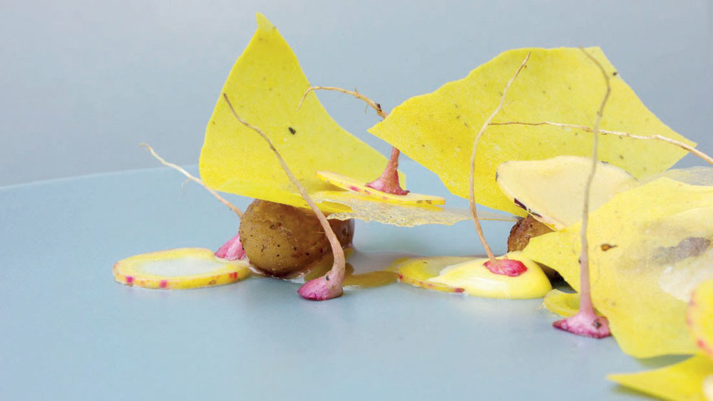 أطباق طعام غريبة في مطاعم أمريكا اللاتينية