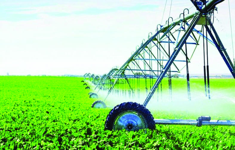 توجيهات عليا بتأسيس شركة حكومية لتقديم خدمات زراعية مستدامة