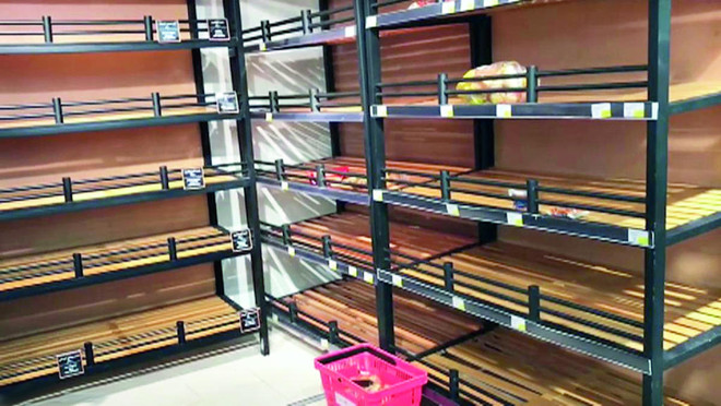 "الألمانية" : ثلاجات الألبان وأجهزة "الفريزر" في قطر فارغة