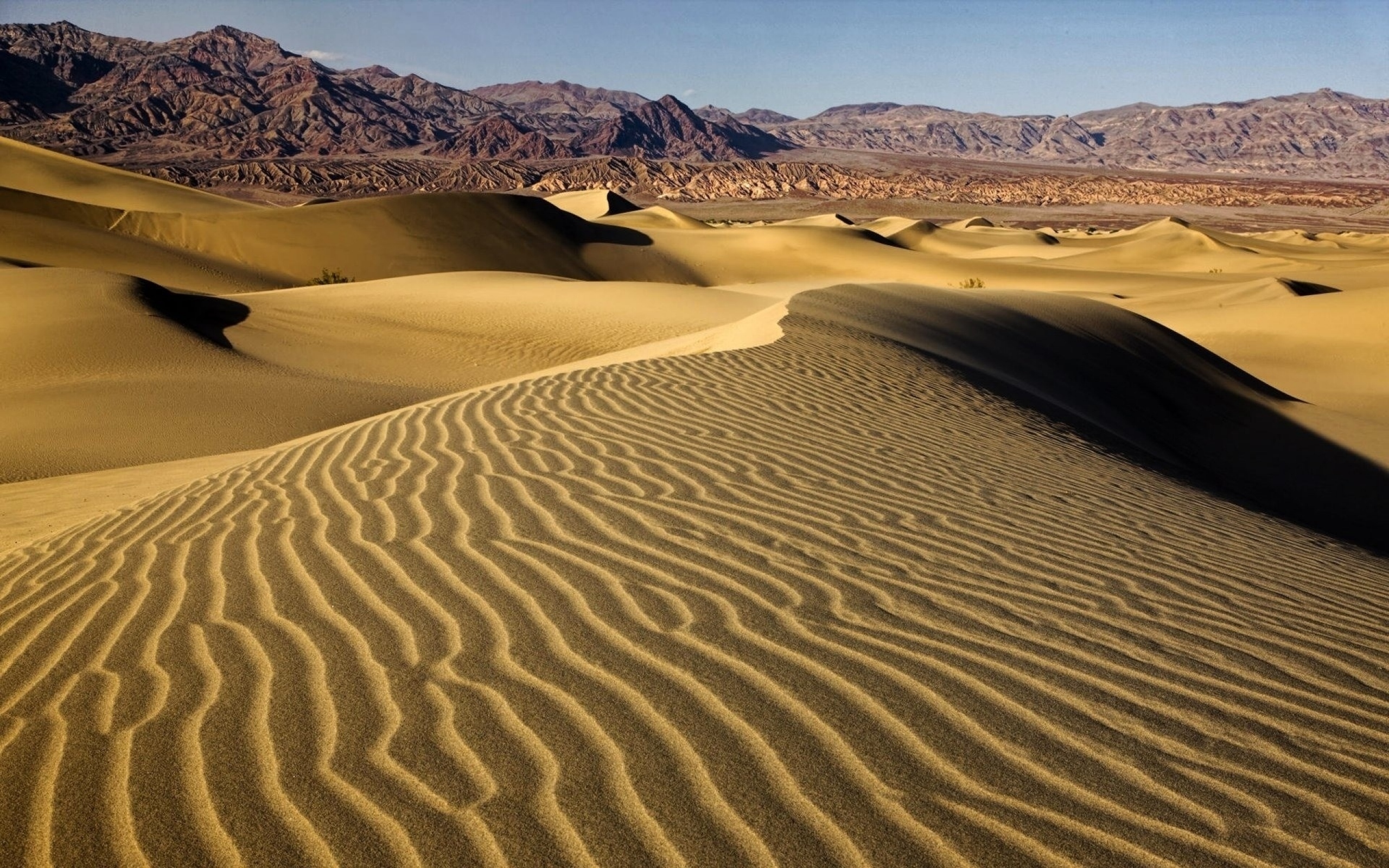 المراكز العمرانية في الصحراء الشرقية