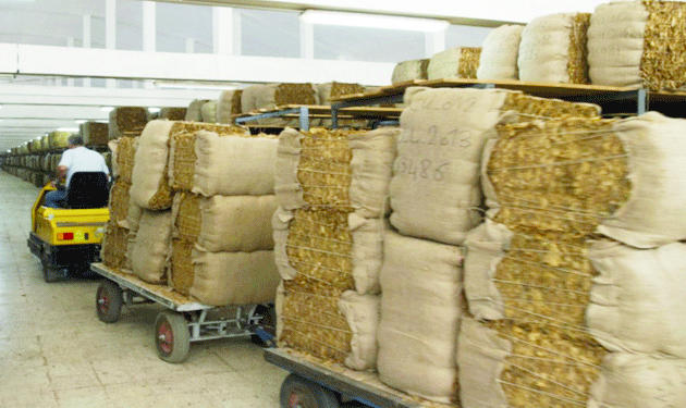 بعد تطبيق الضريبة الانتقائية .. تراجع قيمة واردات التبغ 71 %