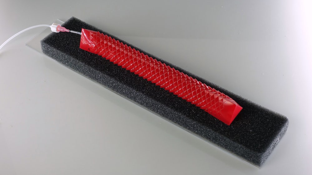 ابتكار "روبوت" زاحف يتحرك مثل الثعبان