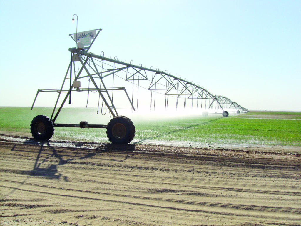 «الصندوق الزراعي»: نستهدف مشاريع التقنيات الحديثة بـ 70 % من التمويل